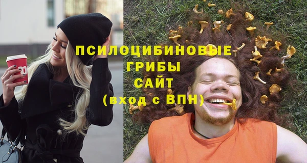 хмурый Куйбышев