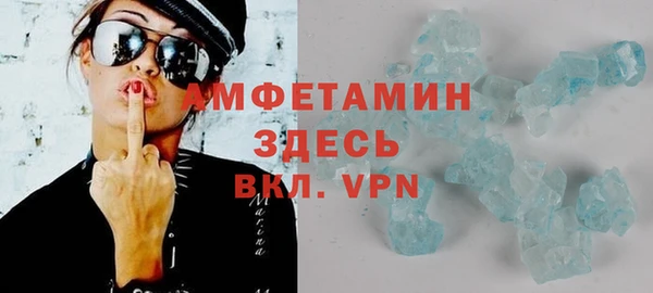 МДПВ Бородино