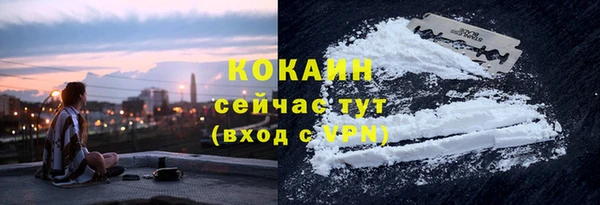 спиды Кукмор