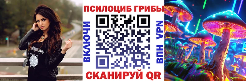 где купить наркоту  Малмыж  Галлюциногенные грибы Psilocybe 