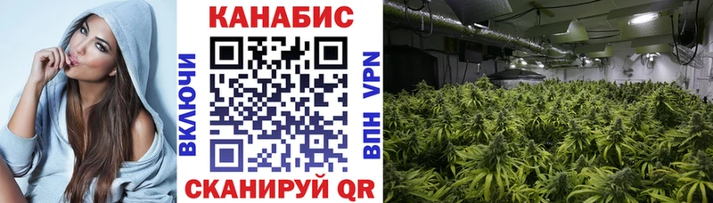 Конопля ГИДРОПОН  Малмыж 